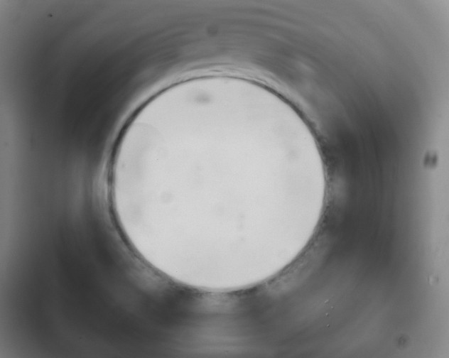 X0000103401514200809120912