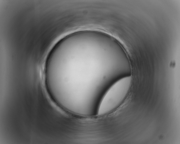 X0000103401515200809120912