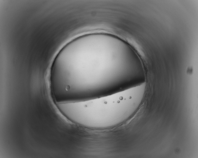 X0000103401516200809120912