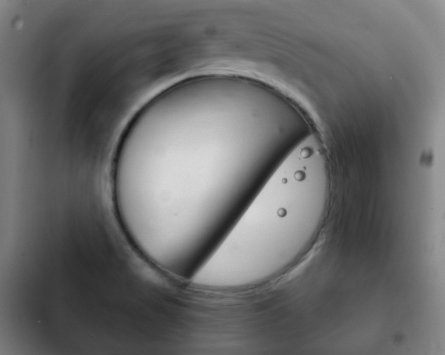 X0000103401517200809120912