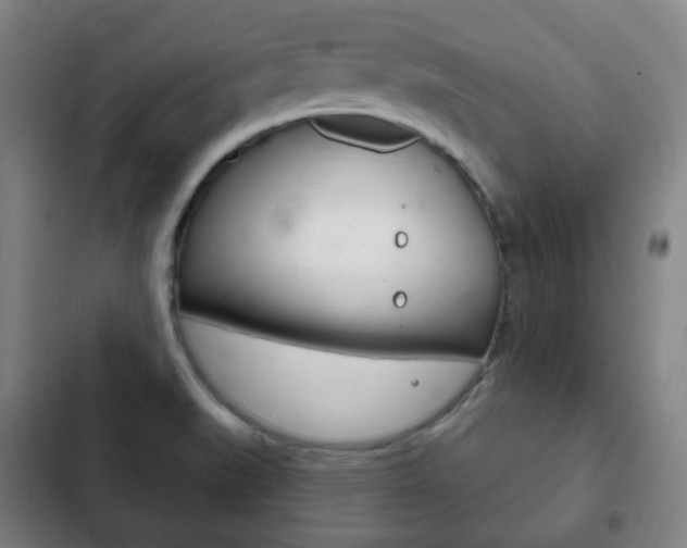 X0000103401519200809120912