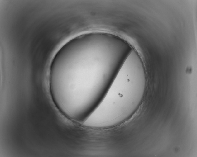 X0000103401520200809120912