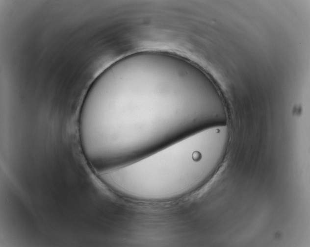 X0000103401521200809120912