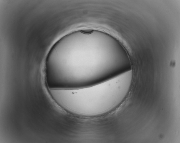 X0000103401522200809120912