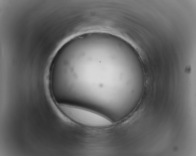 X0000103401523200809120912