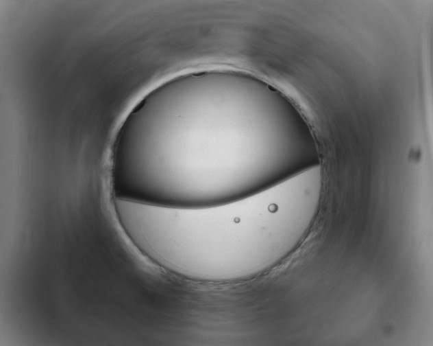 X0000103401524200809120912