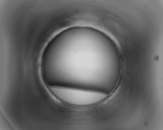 X0000103401525200809120912