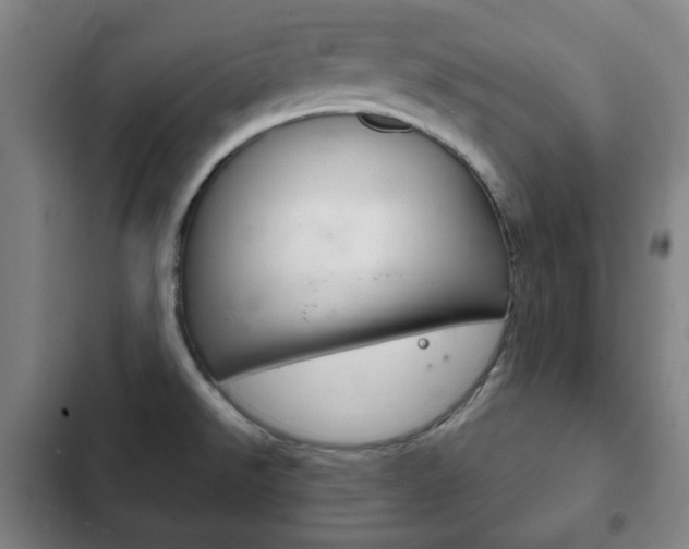 X0000103401526200809120912