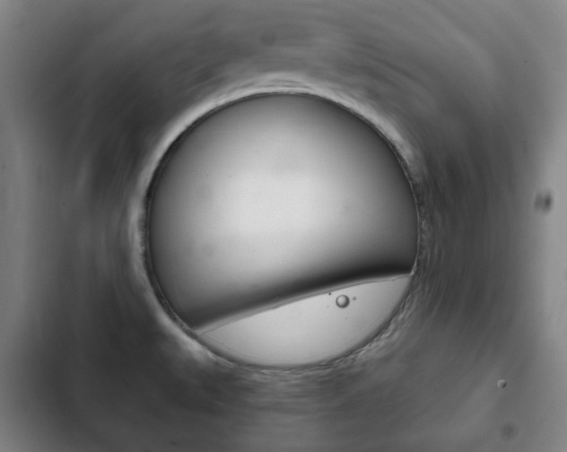 X0000103401527200809120912