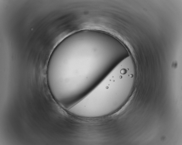 X0000103401529200809120912