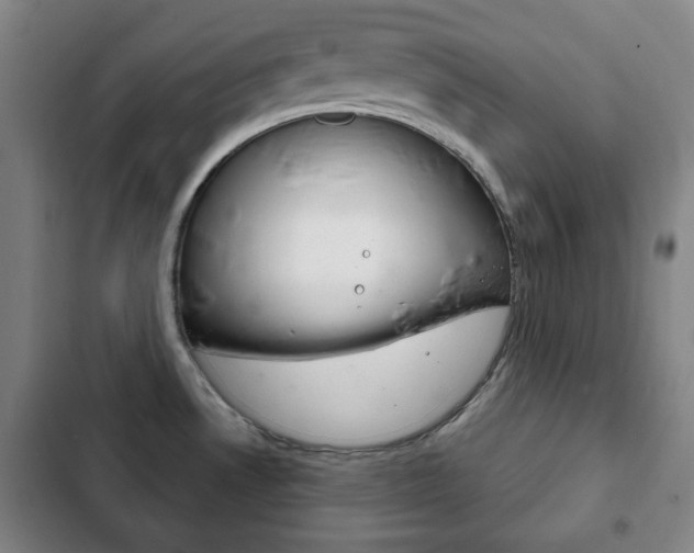 X0000103401530200809120912
