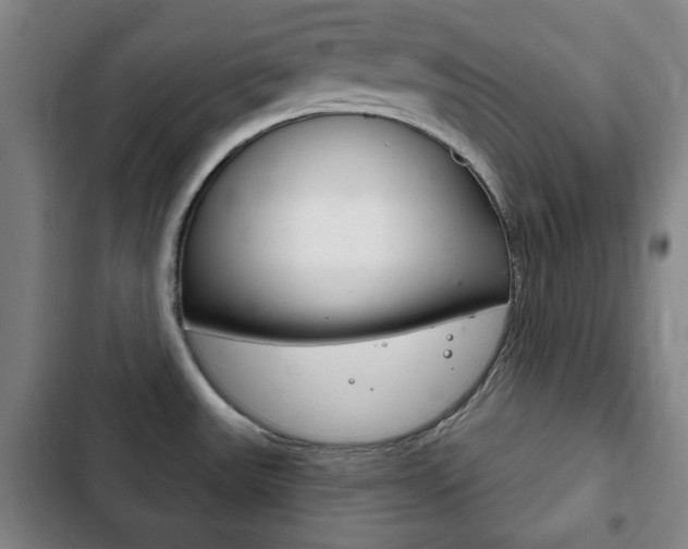 X0000103401531200809120912