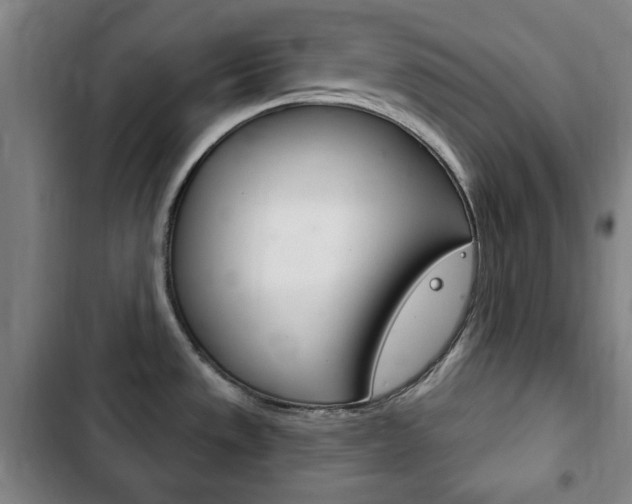 X0000103401533200809120912