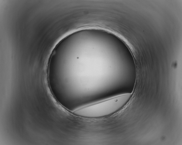 X0000103401534200809120912