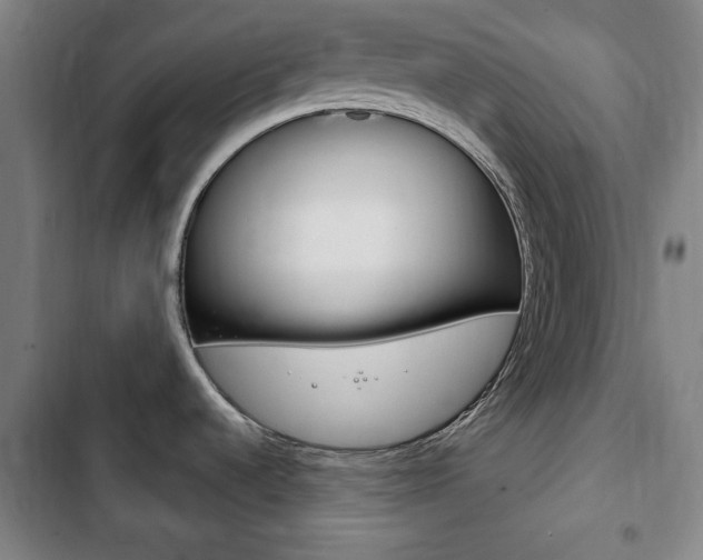 X0000103401536200809120912