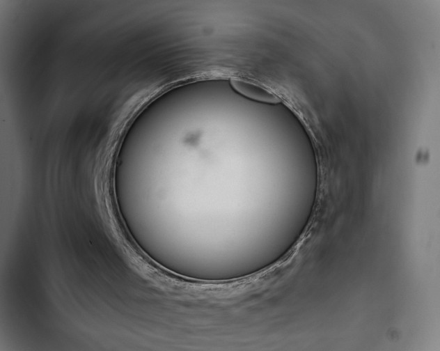 X0000103400001200809121253