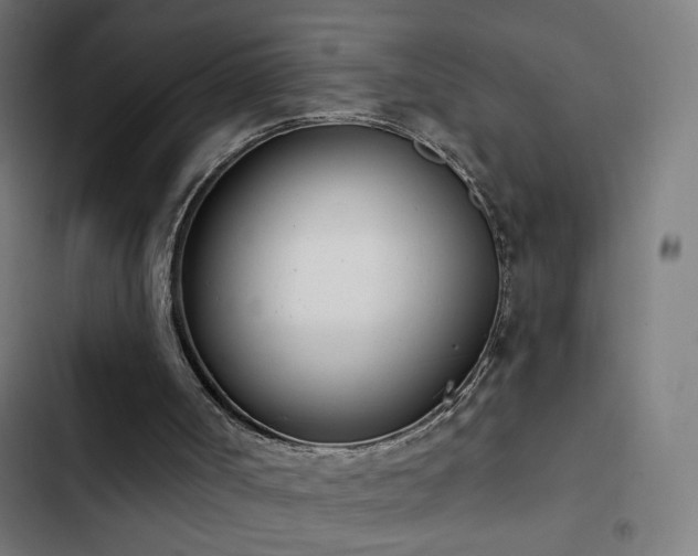 X0000103400002200809121253