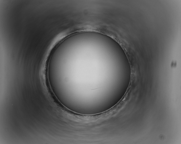 X0000103400006200809121253