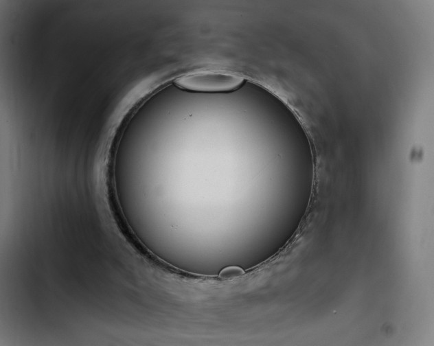 X0000103400007200809121253