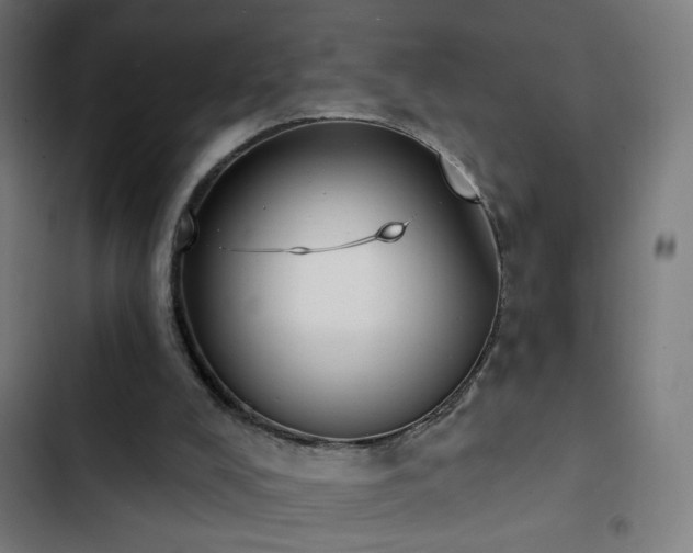 X0000103400008200809121253