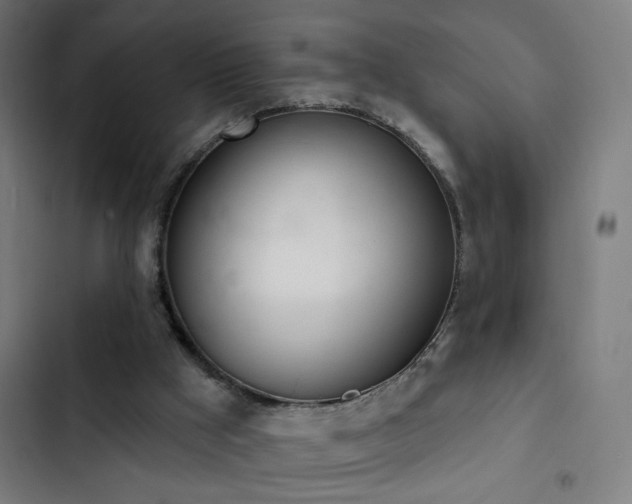 X0000103400009200809121253