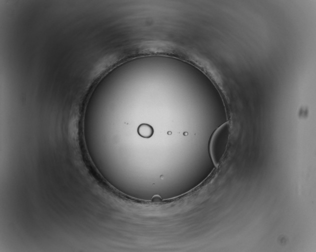 X0000103400010200809121253