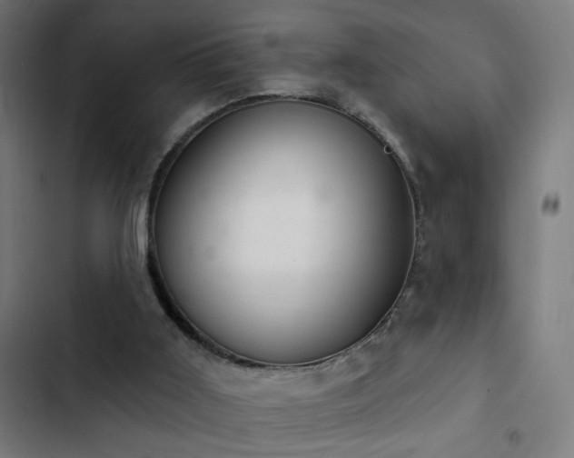 X0000103400011200809121253