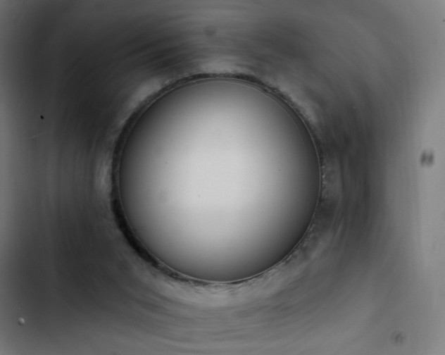 X0000103400015200809121253