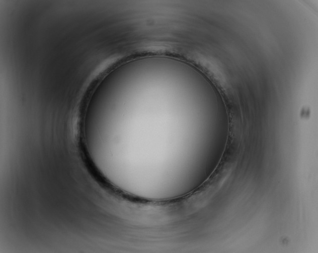 X0000103400016200809121253