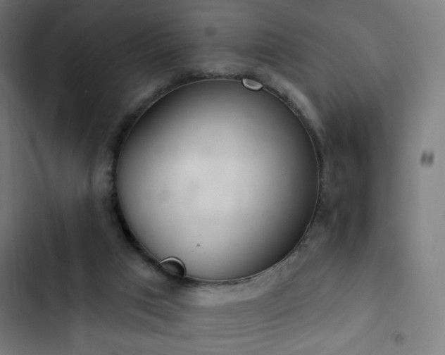 X0000103400017200809121253