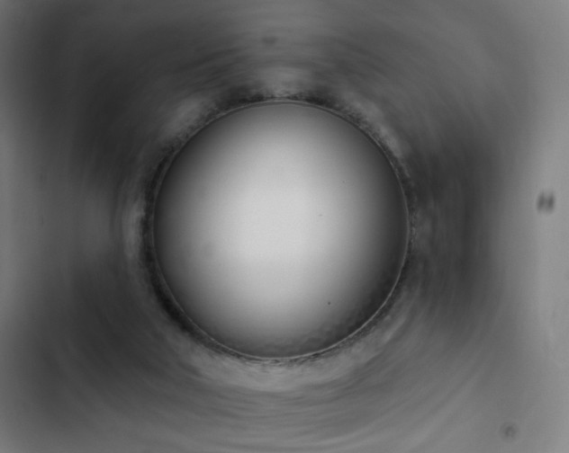 X0000103400018200809121253