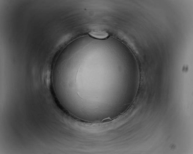 X0000103400019200809121253