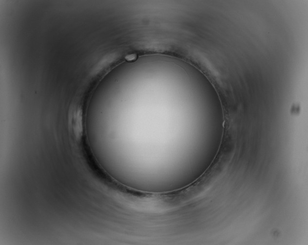 X0000103400020200809121253