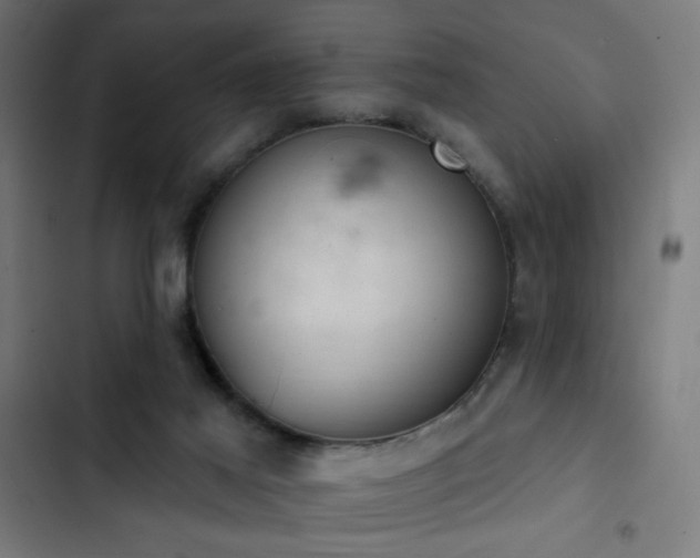 X0000103400021200809121253