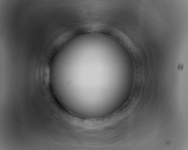 X0000103400022200809121253