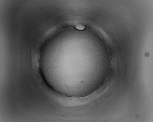 X0000103400023200809121253