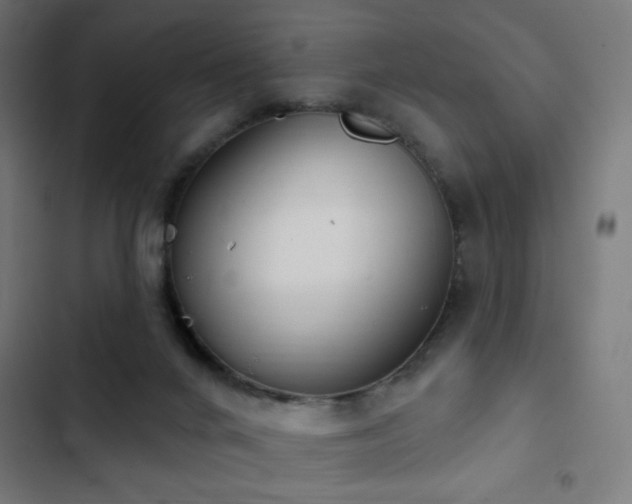 X0000103400024200809121252