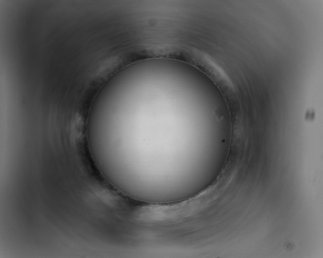 X0000103400025200809121252