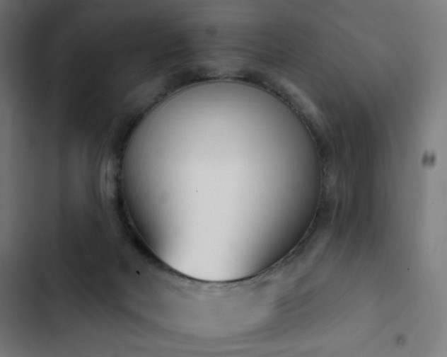 X0000103400026200809121252