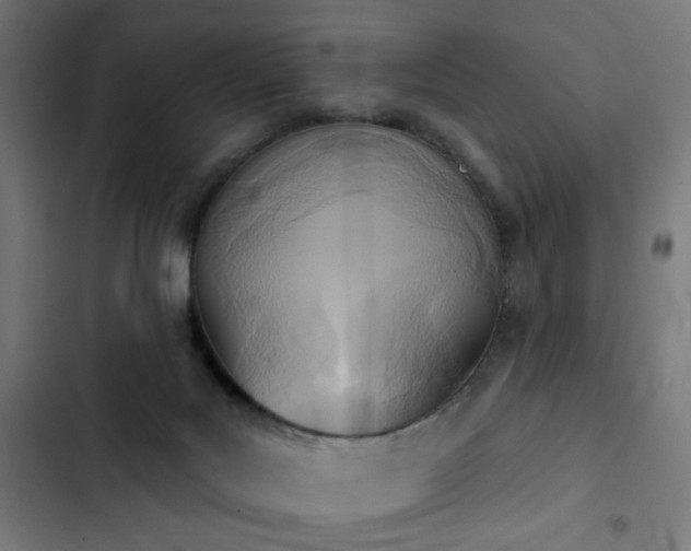 X0000103400027200809121252