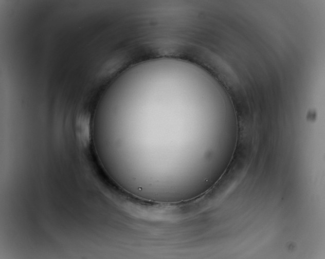 X0000103400028200809121252