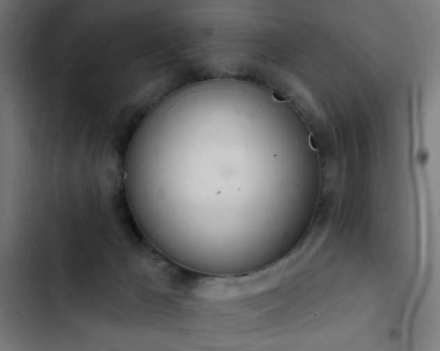 X0000103400029200809121252