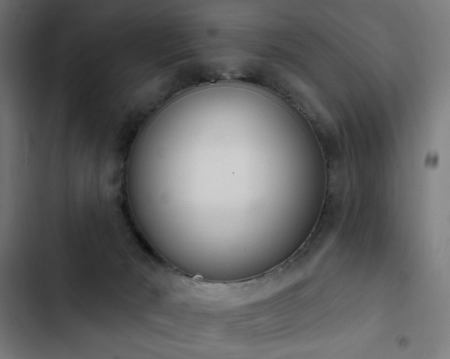 X0000103400030200809121252