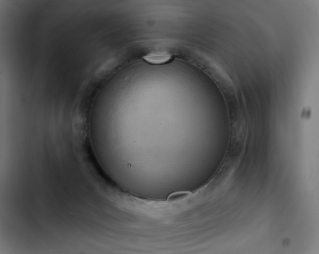 X0000103400031200809121252