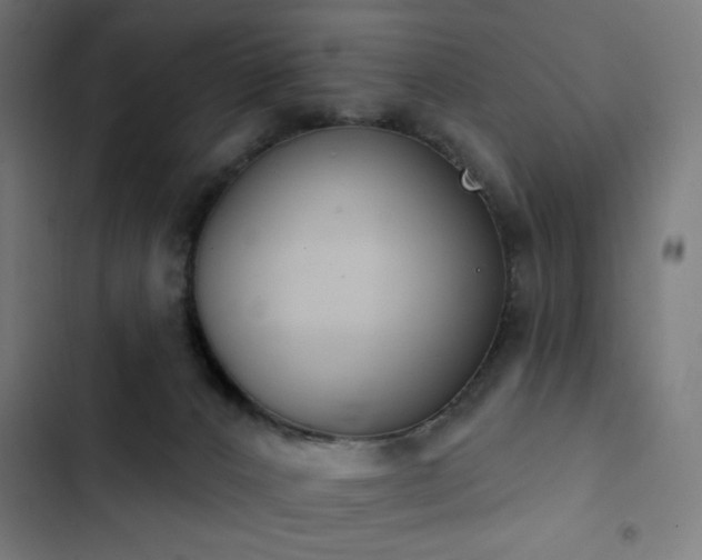 X0000103400032200809121252