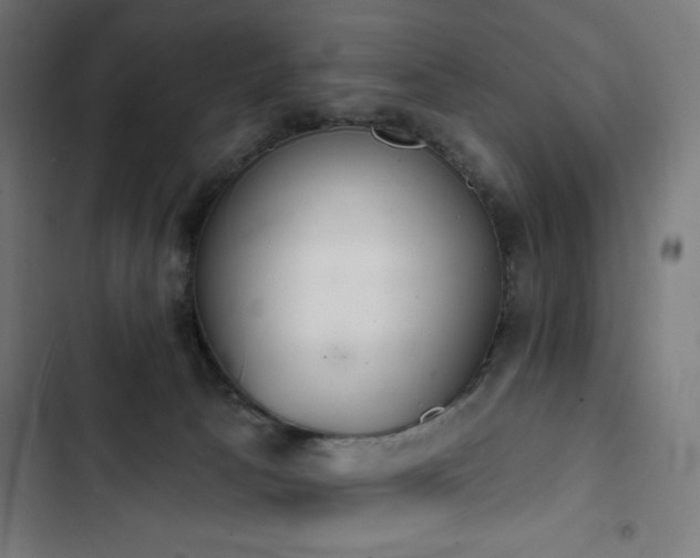 X0000103400033200809121252