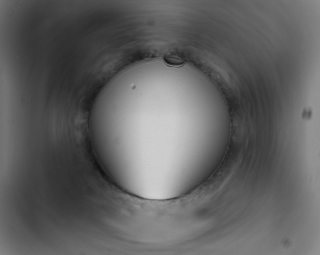 X0000103400034200809121252