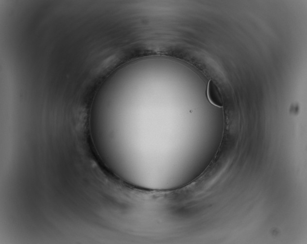 X0000103400036200809121252