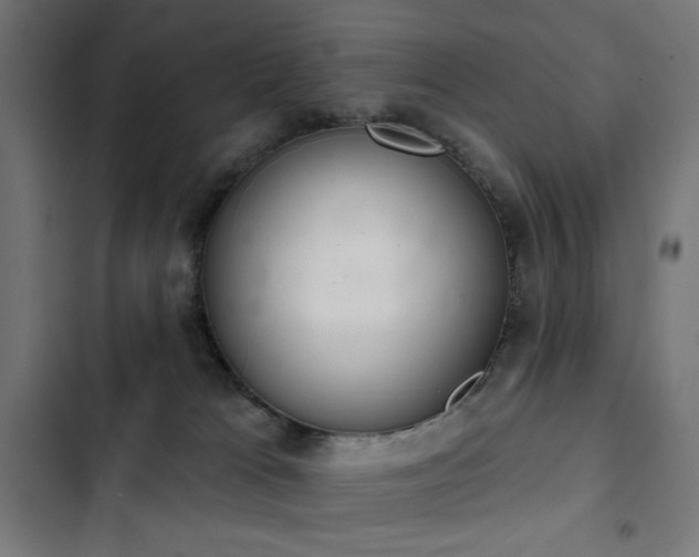 X0000103400037200809121252