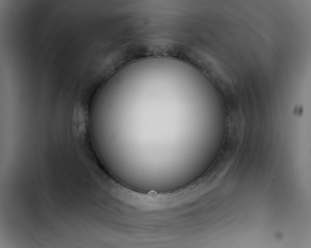 X0000103400038200809121252